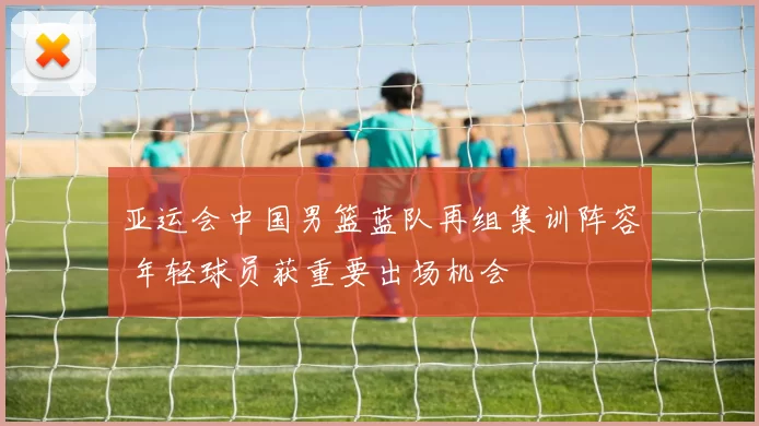 亚运会中国男篮蓝队再组集训阵容 年轻球员获重要出场机会