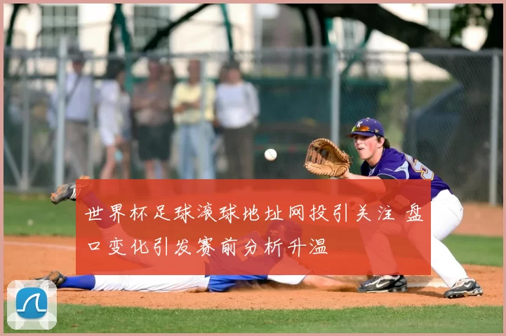 世界杯足球滚球地址网投引关注 盘口变化引发赛前分析升温